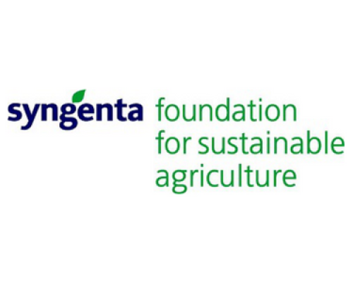 http://Syngenta%20Foundation